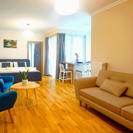 Luxury City Centre Apartment With Barbecue Grill Cluj-Napoca Buitenkant foto